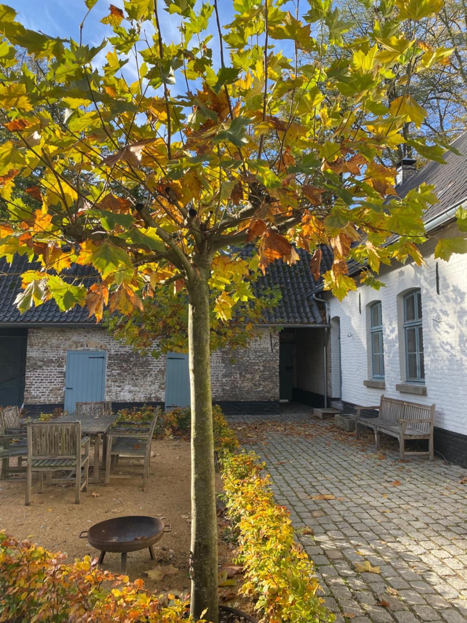 Cottage Landgoed Frymerson Sint Odiliënberg Exteriör bild